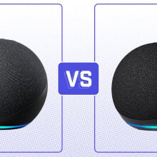 echo and echo dot speaker facing each other with vs. between them