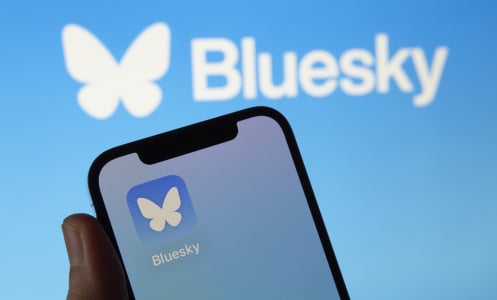 The image shows the icon of Bluesky