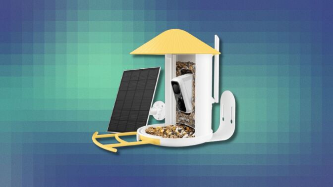 a yellow netvue birdfy smart bird feeder with solar panel