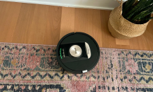 Shark robot vacuum cleaning rug with hardwood floor, wall, and plant in peripheral