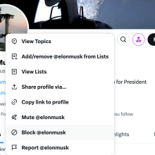 A screenshot of Elon Musk's X profile. The drop down menu is displayed and the cursor hovers over the "Block @ElonMusk" button.