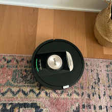 Shark robot vacuum cleaning rug with hardwood floor, wall, and plant in peripheral