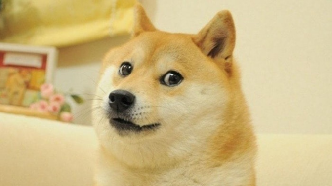 Doge Kabosu